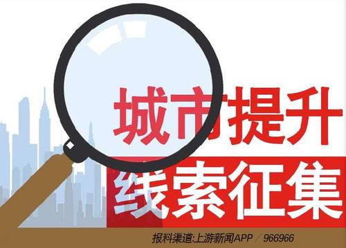 南安新闻爆料热线电话,倾听民声，守护城市脉搏